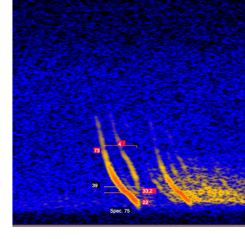 Beispielruf mit Vermessung