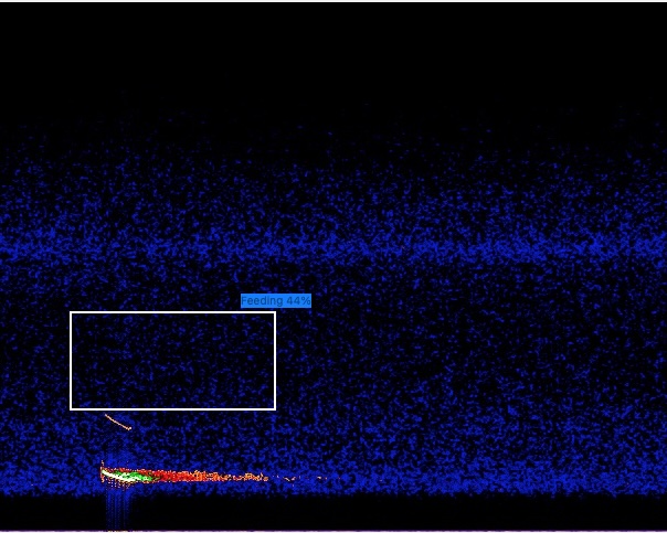 Falscher feeding-buzz erkannt