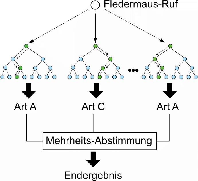 Machine Learning mit randomForest